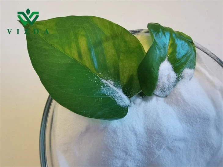 Ammonium Di Molybdate