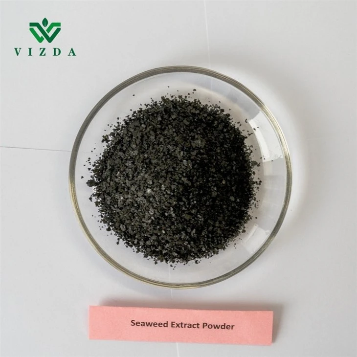 Crop-Enhancing Seaweed Extract