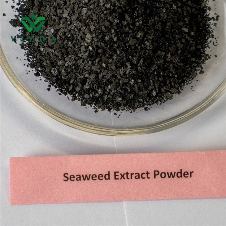 Crop-Enhancing Seaweed Extract