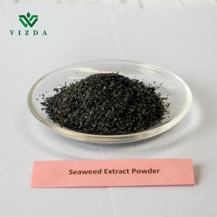 Crop-Enhancing Seaweed Extract