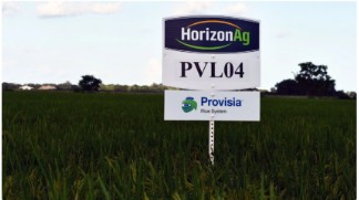 Horizo​​n AGは新しい品種を立ち上げ、Grower Advisory Boardを集めます