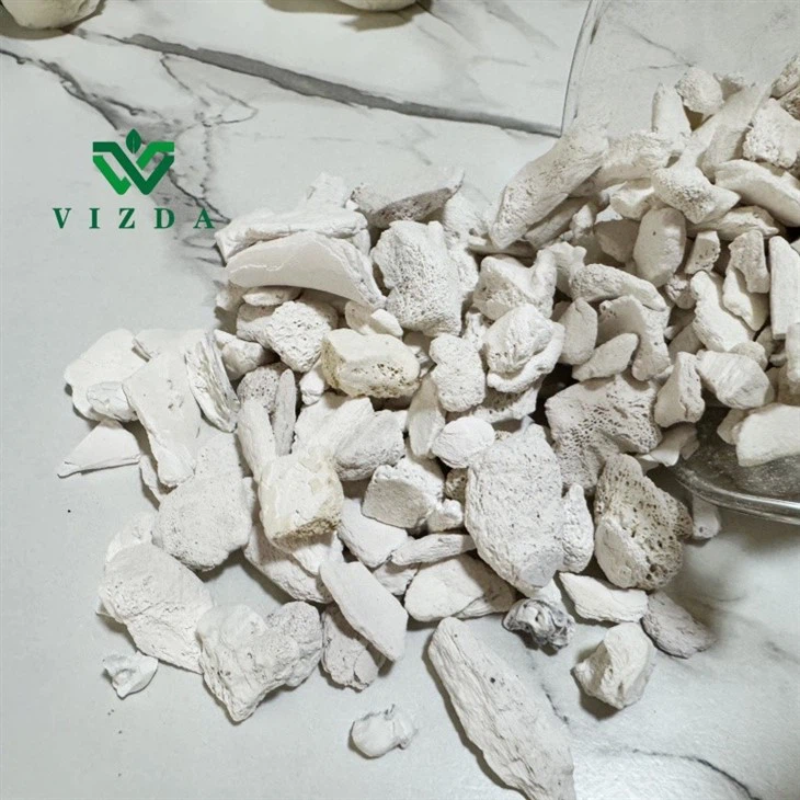 a89099b37147592560d1879432bc47f